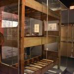 DSC_0077_00068 (June 24, 2023)